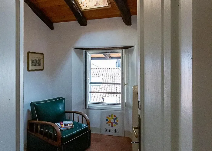 Elicriso